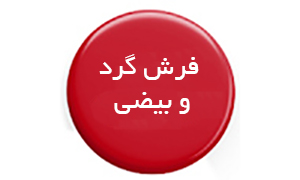 فرش گرد و بیضی